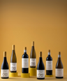 Corryton Burge Group Tasting Experience